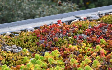 the cost of West Porlock green roof installation